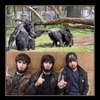 Колямба Zaq123zaq