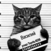 Василий Плотников